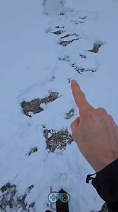 Where did all this snow come from? #Logic_Academy | Logic Academy