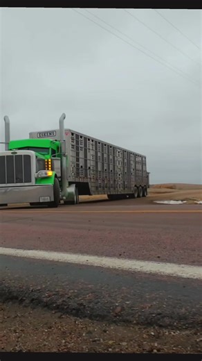 Exploring the Features of the Peterbilt Truck