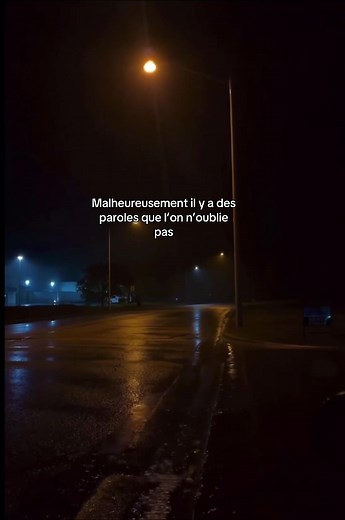 Paroles Inoubliables : Mélancolie et Douleur