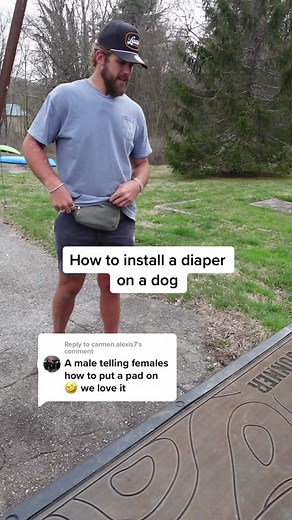 Ultimate Dog Dad: How to Install a Diaper on a Dog
