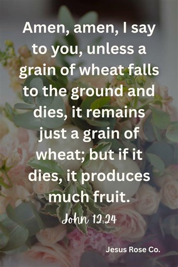 Catholic Bible Study | John 12:24 | Jesus Rose Co. ✝️