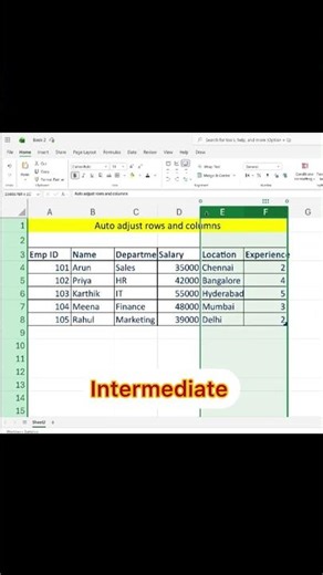 Auto Adjust Rows & Columns in Excel | Quick Shortcut Method ⚡