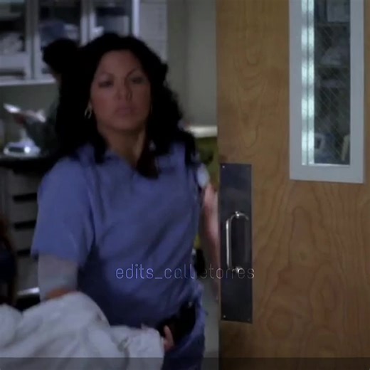Callie and Erica Relationship Moments in Grey's Anatomy