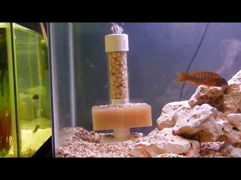 Home Made DIY Sponge Filter For Aquarium or Fish tank. Peacock Cichlids