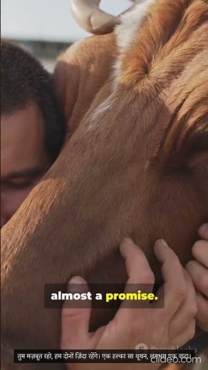 Kid story about cow and human