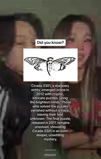 Unraveling the Enigma of Cicada 3301: A Deep Dive into the Cryptic Puzzles