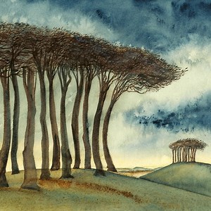 Beech - Cosmo Sheldrake & Robert Macfarlane: Song Lyrics, Music Videos & Concerts