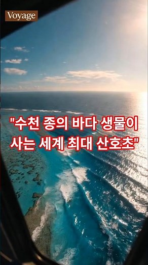 “우주에서 보이는 호주 산호초?! 그레이트 배리어 리프 체험!”