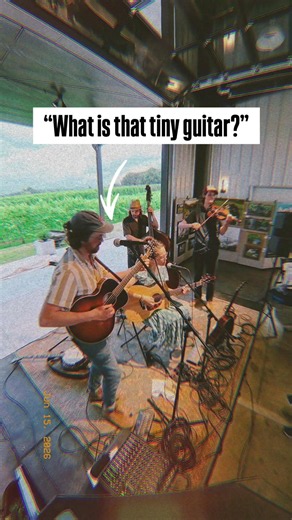 “What is that tiny guitar?”