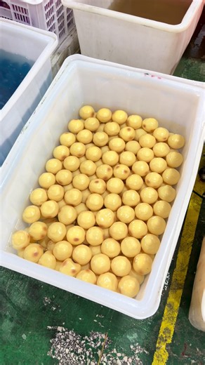 Potato Squishy Toy — How to Squish It Into Any Shape
