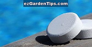 Avantages et inconvénients de Zoysia Grass 🌱 Conseils Jardiniers - Fr.ezGardenTips.com