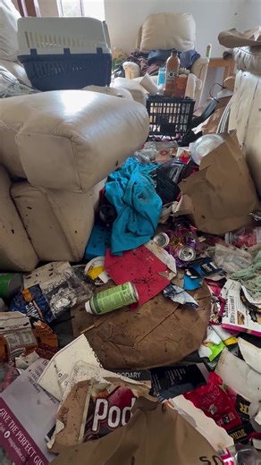 Thousands of Cockroaches Revealed in Hoarder Clean-Up