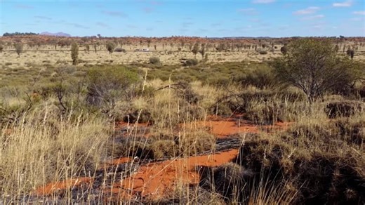 Robot, Future, Technology