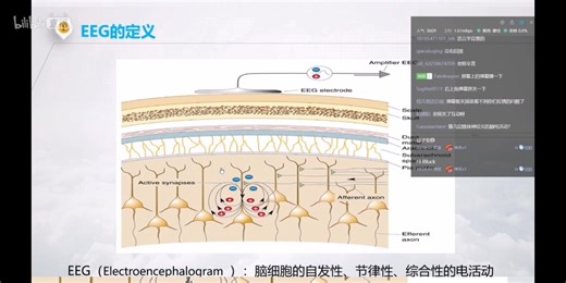 Psychology心理学【EEG理论】EEG介绍