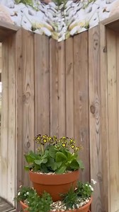 🌸✨Caroline takes Alpines to the next level with her easy alpine tower!🌸✨ Join Caroline in constructing and planting this easy but effective display! Alpine planters are the perfect low maintenance option for gardening, they love sunny spots with well drained soil and are perfect for attracting bees, butterflies and other insects to your garden! Find out more about alpine planting on our website now: https://www.bartongrange.co.uk/alpine-bowls/ #alpine #alpines #alpineplanting #planter #howto #