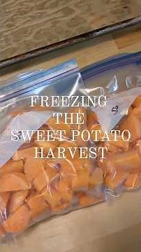 How to Freeze Sweet Potatoes ✨ #harvest #sweetpotato #cookingvideo #freezer #homestead