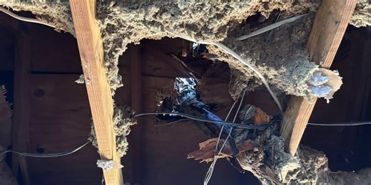 ‘It’s going to be a complete replacement’ | Tree tears through roof, damages Knoxville family’s home during severe weather