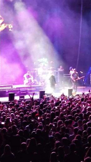 Hollywood Undead - Hollywood Forever [Live @ Łódź 2024] #hollywoodundead #live #forever