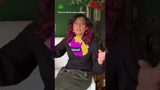 How do we chart missing rivers? Ask fish! #science #scishow #geography #newzealand