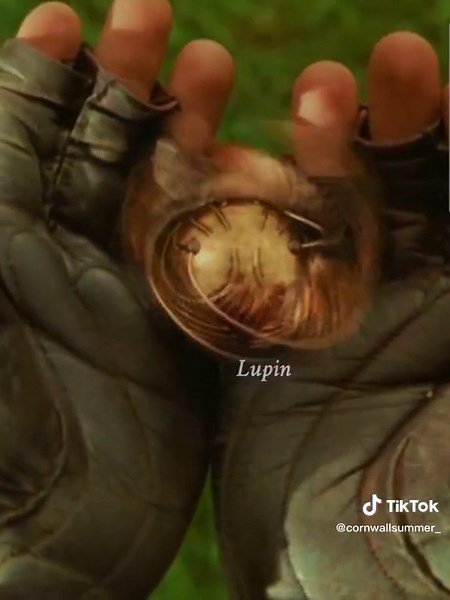 Random Quidditch Clips Compilation | Remus Lupin, Sirius Black, Harry Potter