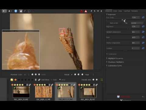 Gimp 'Pro' Tutorial: Introduction to Raw Therapee
