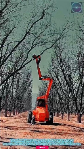 MODERN & NEXT LEVEL: Mechanical Topper for Precision Orchard Maintenance and Tree Pruning