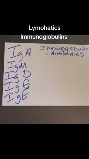 Understanding Lymphatics and Antibodies in Nursing