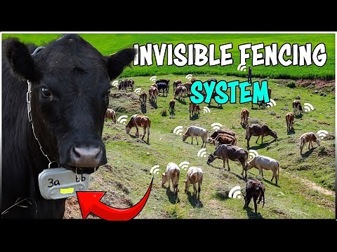 INVISIBLE Fencing System | Virtual fence for Livestock