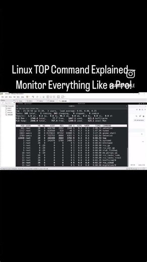Linux TOP Command Explained — Monitor Everything Like a Pro!