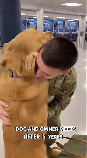 Soldiers Reunite With Their Dogs After Years Apart – You Won't Believe Their Reactions!