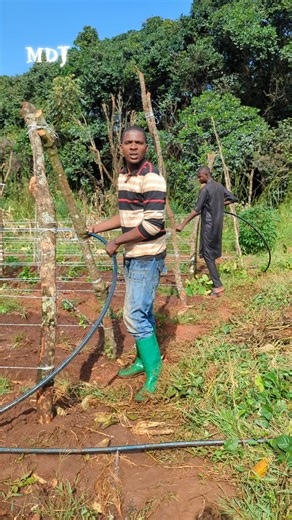 L'agriculture durable au Cameroun avec Abdou Poullo
