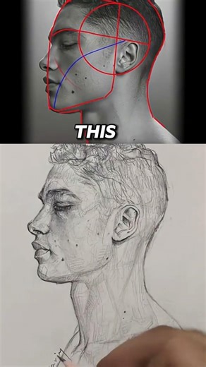 Master the Base. Master the Face #loomismethod #drawing #lipsdrawing #sketch #drawingtutorial #art
