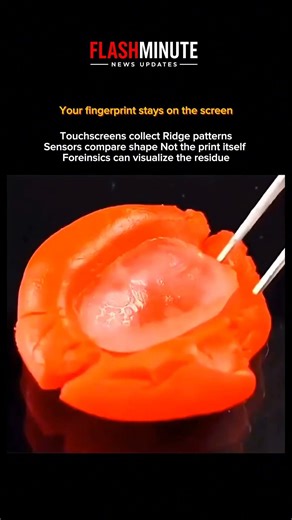 🤯 How Forensics Can Capture Fingerprints From Screens