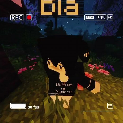 Bia reskin in minecraft so cute