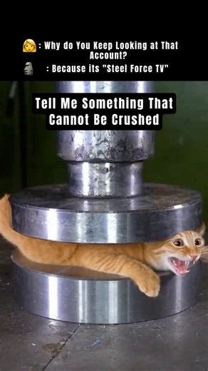 SteelForce — Brutal Crushing Experiments on Instagram: "⚙️ Hydraulic Press vs Cat — Pure Crushing Power Test 💀🔊 Cold steel meets unstoppable pressure. No mercy. No hesitation. Just tons of hydraulic force compressing a solid metal cat sculpture into silence — turning shape into fragments in one slow, brutal descent. This is controlled destruction at its most hypnotic. ⚙️ Forged Steel Target: Dense metal built to resist… and fail 🔻 Descending Force: Hydraulic pressure that never stops 💥 Compr