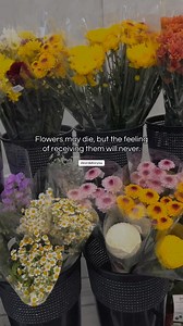 Flowers may die, but the feelings of receiving them will never 💐 | Words for you