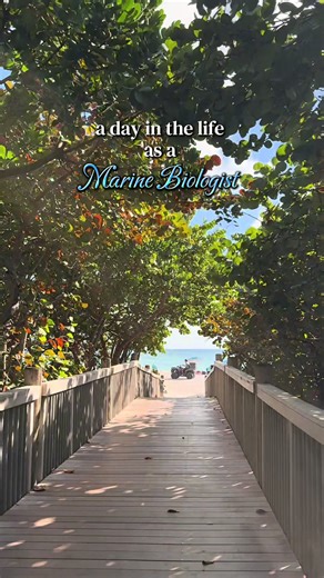 a day in the life as a marine biologist! working with @OceanRescueAlliance to spread awareness about the coral reefs 🩵 • • • • • #oceanconservation #marinebiology #dayinthelife #coralreef #oceanart