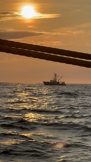 Whether it’s foggy or a beautiful sunrise we are out scalloping in Closed Area 2 getting things done to bring you fresh seafood 🇺🇸 #fresh | Scallop Shack Farms