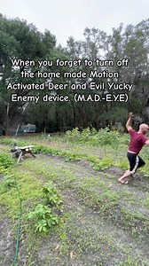 Garden protection MAD EYE is homemade motion activated deer and evil yucky enemy prevention. Works on people too. #garden #gardendefense | James Weston