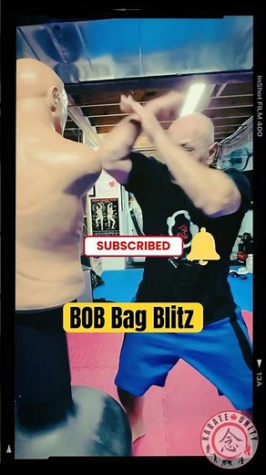 BOB Bag Blitz: Open Hand Striking Drills for Karate and Beyond