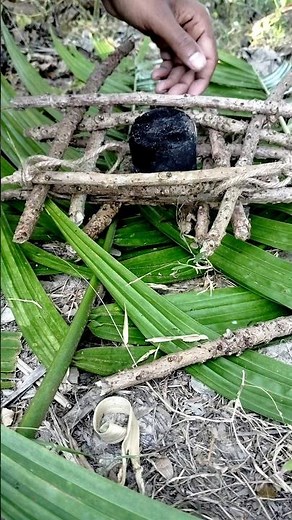 Primitive Fire Making with Bamboo | Ancient Survival Skill