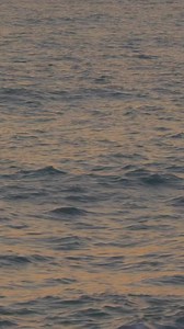 ✨New Guided Meditation ✨Enjoy this deeply restorative meditation that invites you to listen to the aliveness around and within you. 🌿 Begin by tuning into the sounds that surround you, relax your body, and bring a tender, open awareness to your breath.With receptive attention, let yourself be present with the sensations of the body and the stillness within. This practice will help you connect with your deepest, formless nature and the light of awareness.✨ Take a moment for yourself today—listen