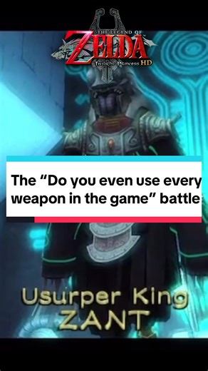 Show N Shell on TikTok