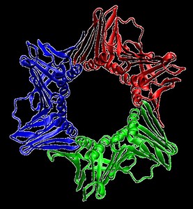 Protein trimer - Alchetron, The Free Social Encyclopedia