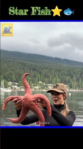⭐ Amazing Starfish Facts You Didn't Know! 🌊 #shortsfacts
