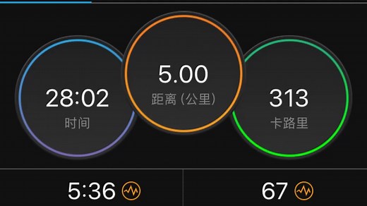 佳明Garmin Fenix 5X，博能Polar H10第一次测试乳酸阈值，心率172，配速5:00，我还不知具体意义