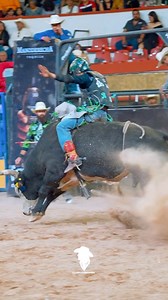 #mexico #cowboy #rodeo | Pedro Castor Rodeo