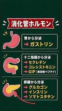 【国試対策】消化管ホルモン分泌部位 #国試対策 #解剖学 #看護師国家試験 #鍼灸国試