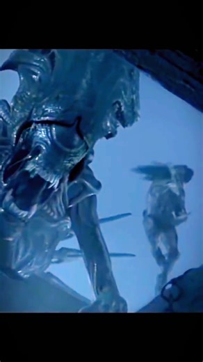scary predator> all #queenalien #alien #alienvspredatoredit #depredador #alienpredator #avp2 #predatorhuntinggrounds #alien #predators #alienvspredator #avp #predator