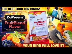 ZuPreem FruitBlend For Cockatiels | Concurs | Lovebirds | Quakers | Best Bird Food to become healthy